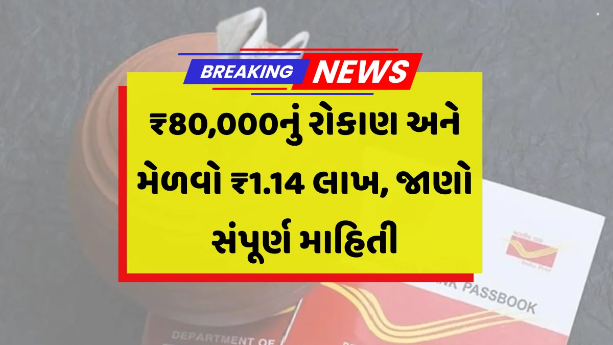 NSC Investment Plan 2025